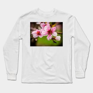 Peach Blossoms Long Sleeve T-Shirt